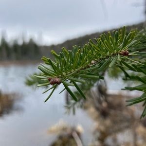 Meet your Posher, Annie